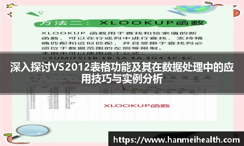 深入探讨VS2012表格功能及其在数据处理中的应用技巧与实例分析